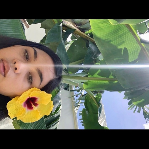 alyssaterlaje